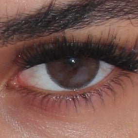 CLEOPATRA LENSES (3-months)